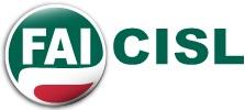 Consiglio direttivo FAI CISL
