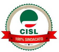 VERSO LA CONFERENZA PROGRAMMATICA-ORGANIZZATIVA